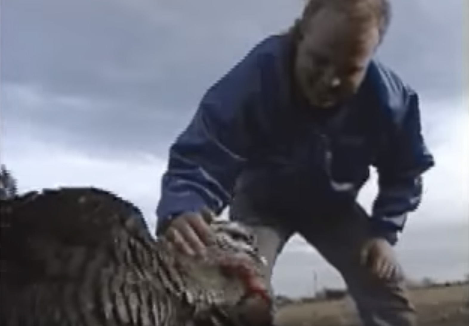 Founder Jeff Crilley’s Elvis Turkey Story